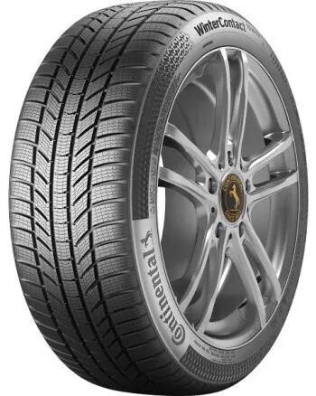 Pneu CONTINENTAL WINTER CONTACT TS 870 P 195/60R18 96H