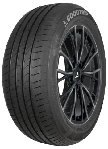 Pneu GOODTRIP BLUEGUARD 195/60R15 88V