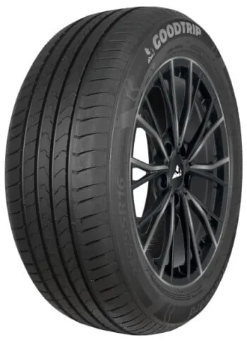 Pneu GOODTRIP BLUEGUARD 195/60R16 89V