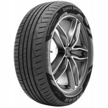 Pneu RADAR DIMAX SPRINT 195/60R15 92V