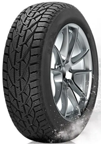 Pneu RIKEN EUROPE SNOW 205/60R16 92H
